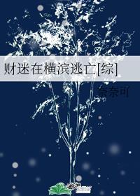 星极的魔法师