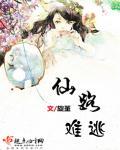 全女神对战系统